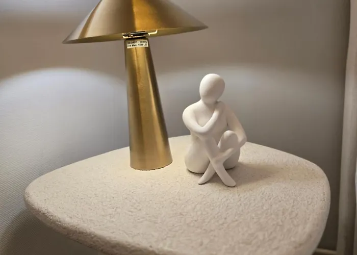 Appartement De Standing En Hyper Centre *