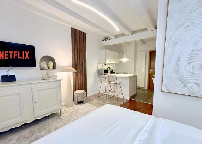 Appartement De Standing En Hyper Centre *