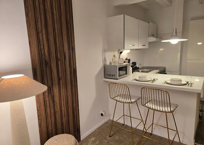 Appartement De Standing En Hyper Centre *